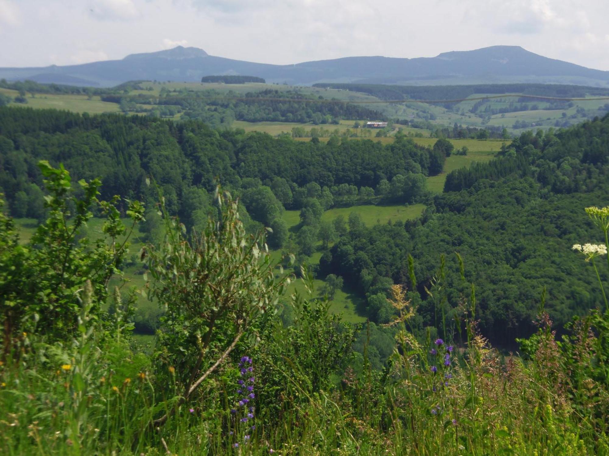 Espace Nature Sabatoux Montusclat Pokoj fotografie